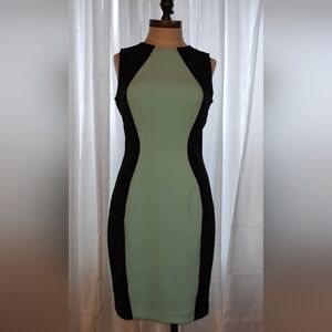 Boston Proper Sheath Dress